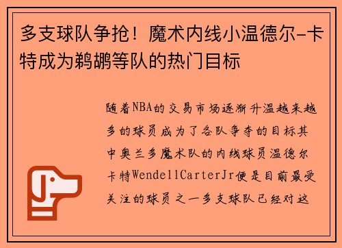 多支球队争抢！魔术内线小温德尔-卡特成为鹈鹕等队的热门目标